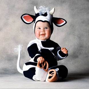 Костюм коровы буренки для детских праздников 12-18 мес.